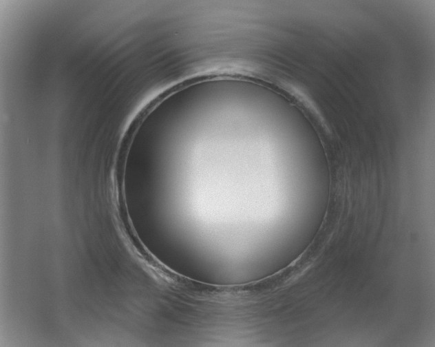 X0000062640936200512211003