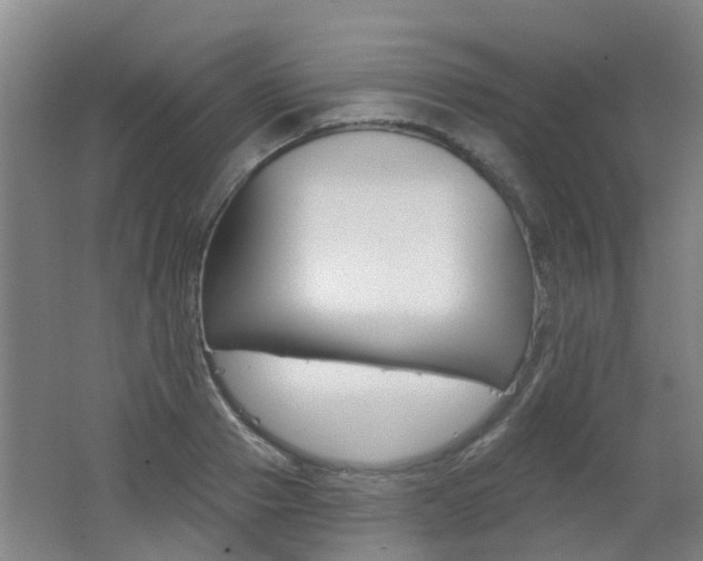 X0000062640937200512211003