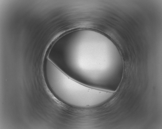X0000062640939200512211004