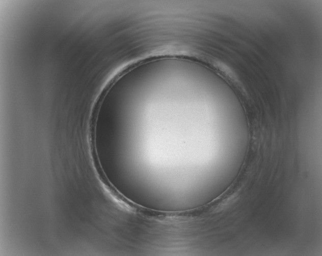 X0000062640942200512211004