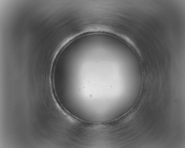 X0000062640943200512211004