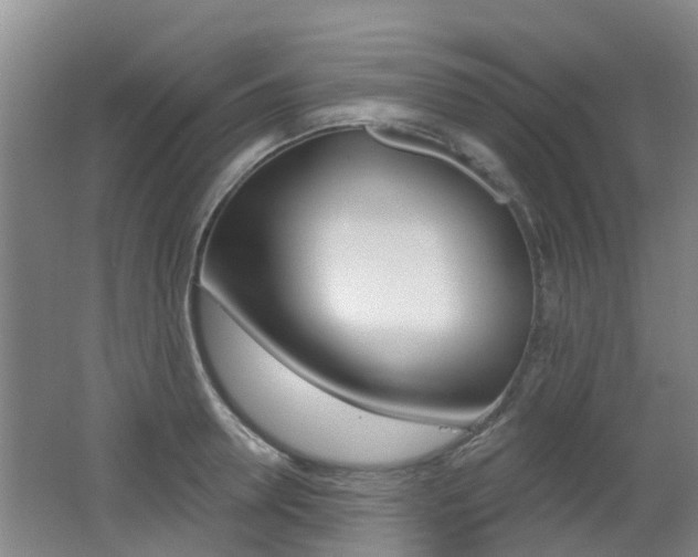 X0000062640946200512211004
