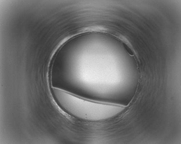 X0000062640947200512211004