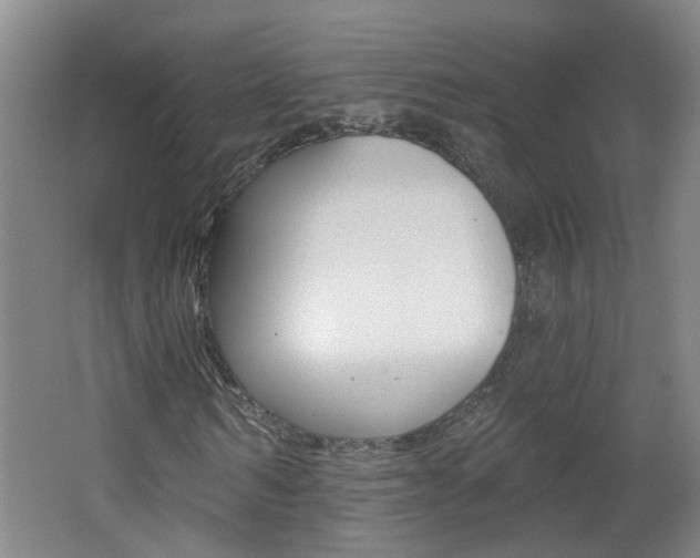 X0000062640962200512211003
