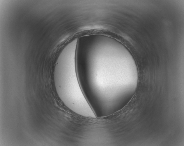 X0000062640967200512211003