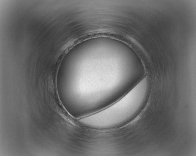 X0000062640969200512211003