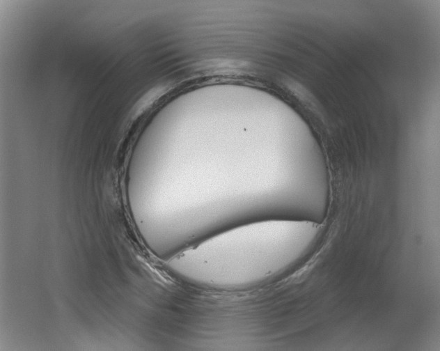 X0000062640970200512211003