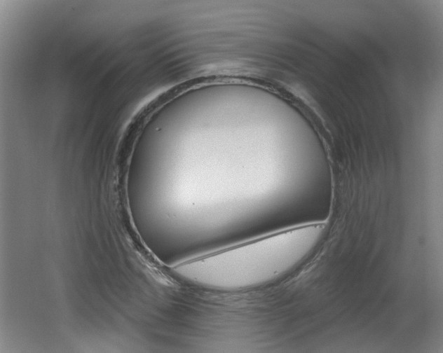 X0000062640971200512211003