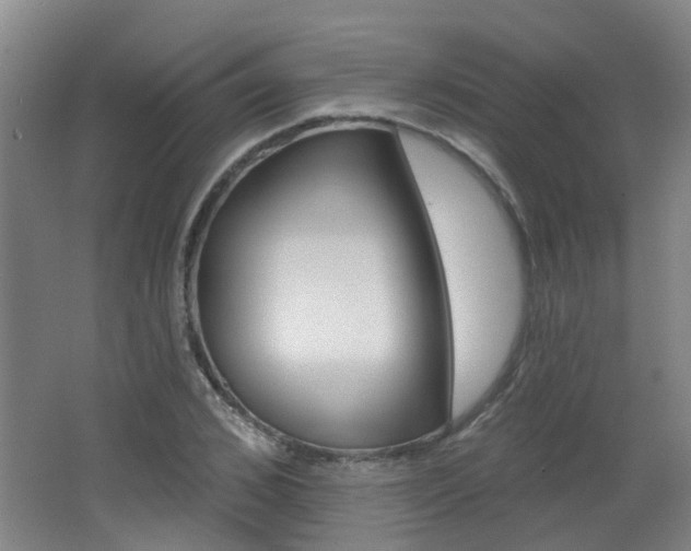 X0000062640976200512211003