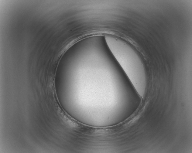 X0000062640985200512211003