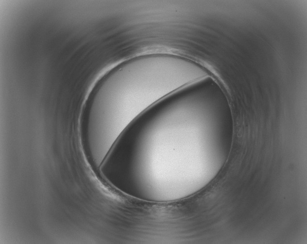 X0000062640987200512211003