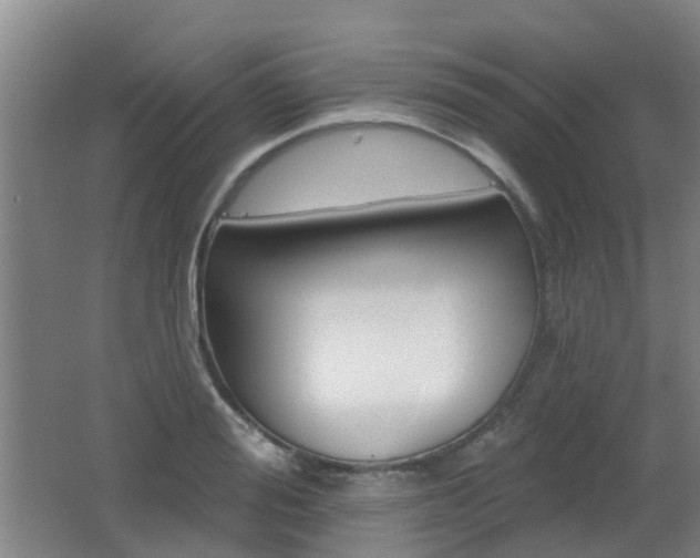 X0000062640988200512211003