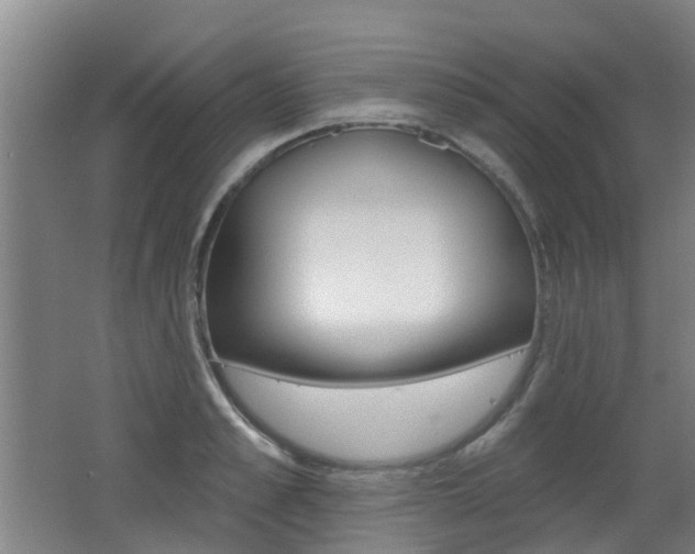 X0000062640989200512211003