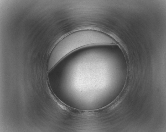 X0000062640993200512211002