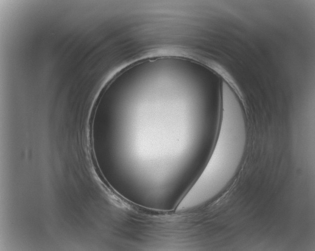 X0000062640996200512211002