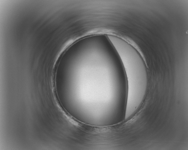 X0000062640997200512211002