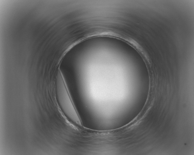 X0000062641001200512211002