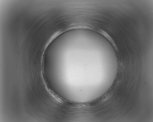X0000062641002200512211002