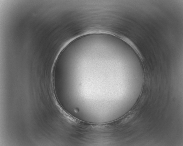 X0000062641004200512211002