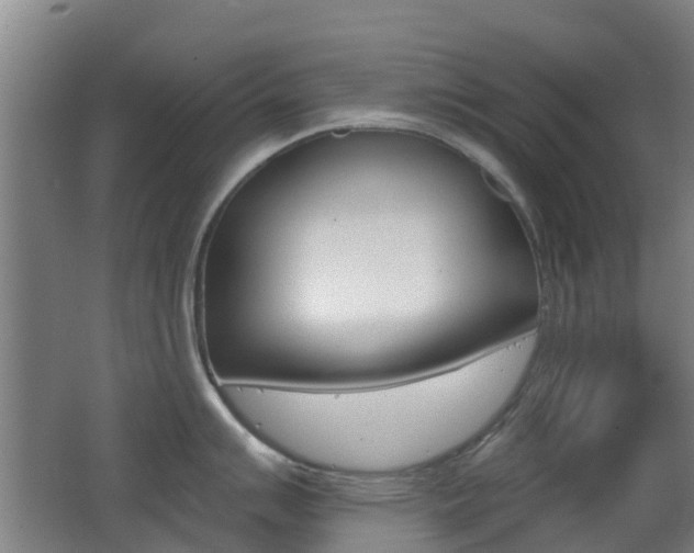 X0000062641007200512211002