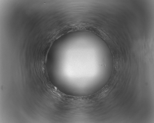 X0000062641010200512211001