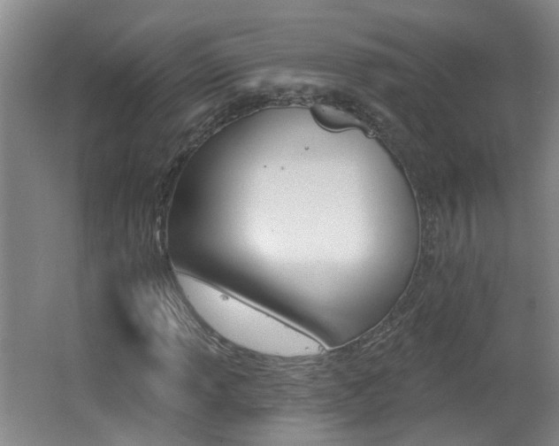 X0000062641013200512211001