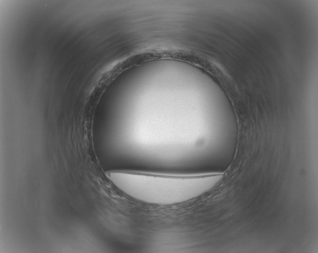 X0000062641016200512211002