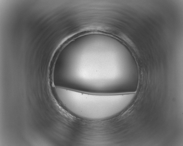 X0000062641020200512211002