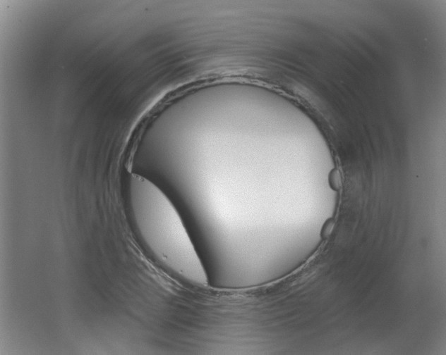 X0000062641023200512211002