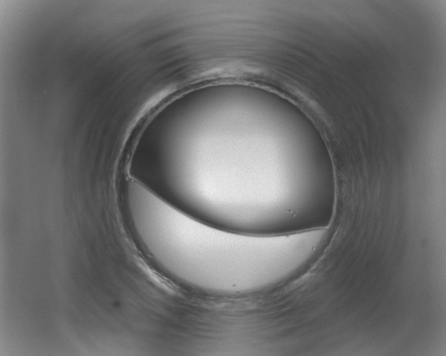 X0000062641026200512211002