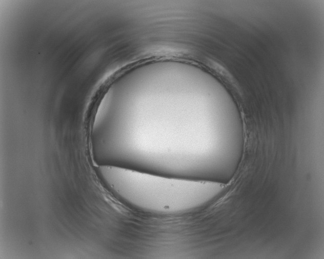 X0000062641027200512211002
