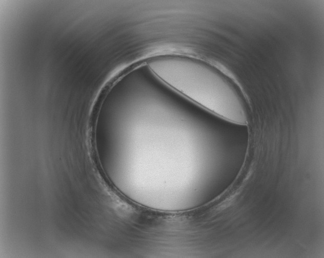 X0000062641029200512211002