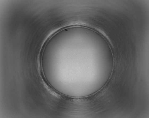 X0000062641032200512211002