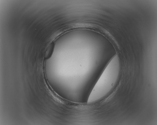 X0000062641033200512211002
