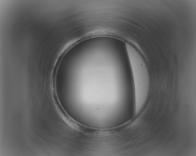 X0000062641034200512211002