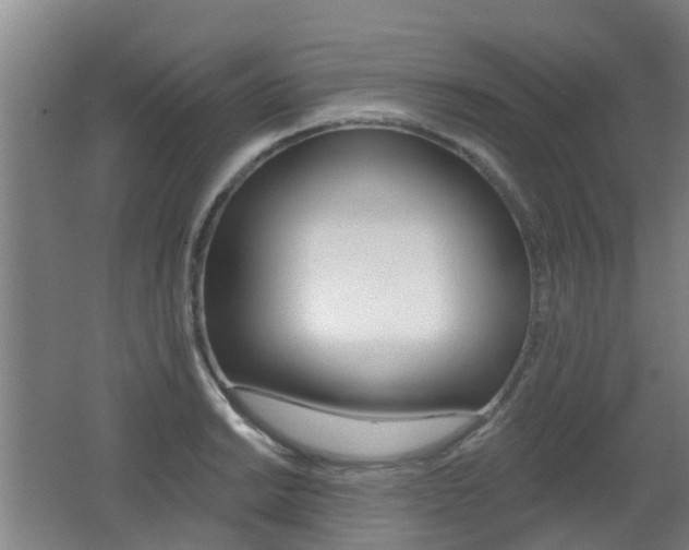 X0000062641038200512211002