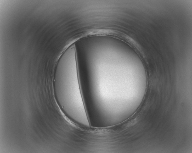 X0000062641041200512211002