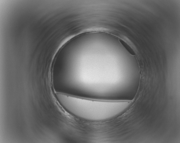 X0000062641044200512211002