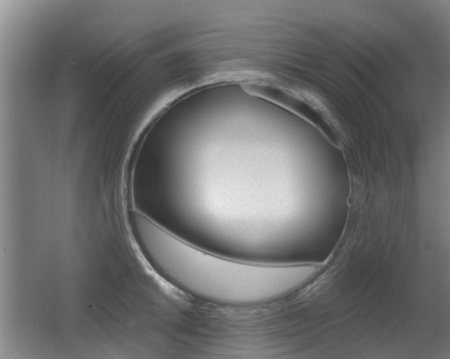 X0000062641046200512211002