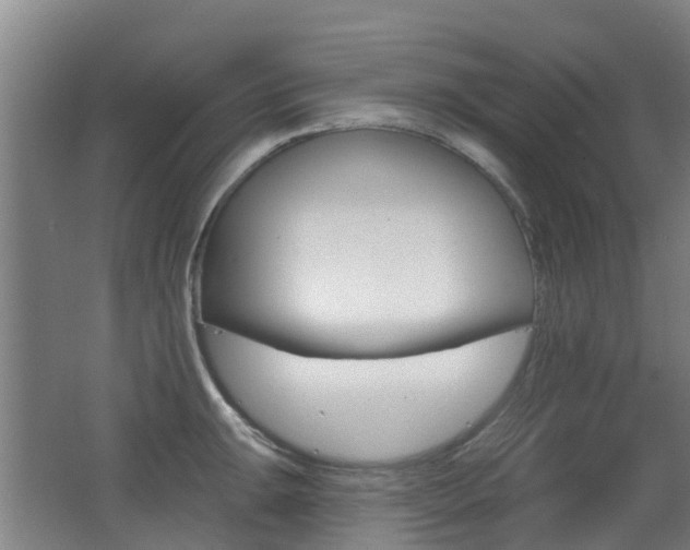 X0000062641047200512211002