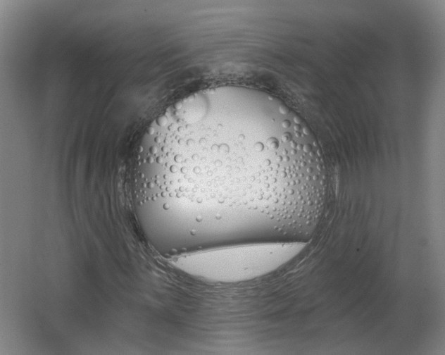 X0000062641059200512211001