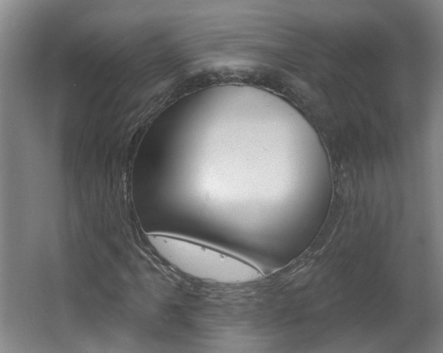 X0000062641061200512211001