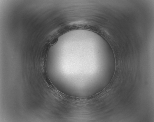 X0000062641062200512211001