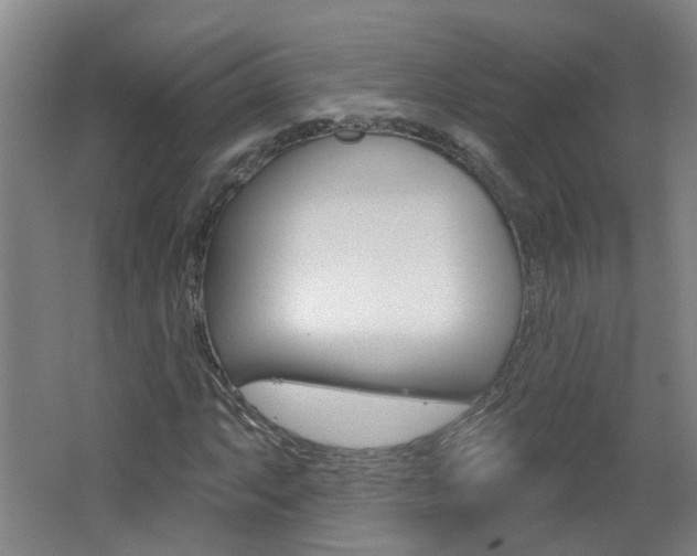 X0000062641063200512211001