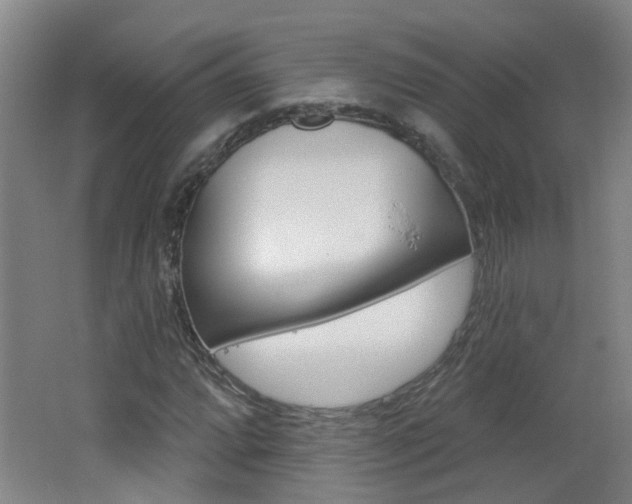 X0000062641064200512211001