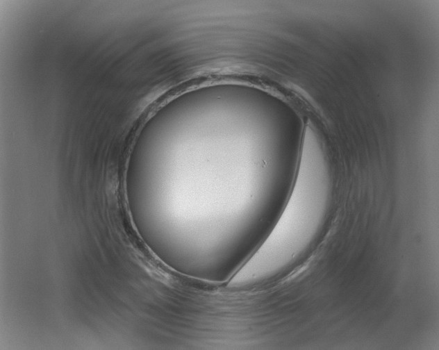 X0000062641065200512211001