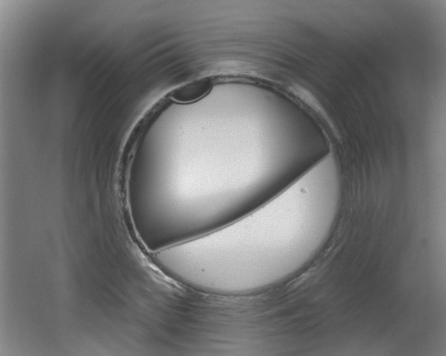 X0000062641068200512211001