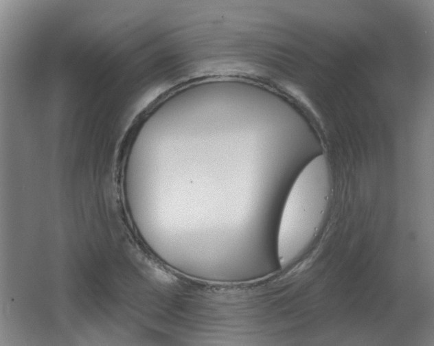 X0000062641071200512211001