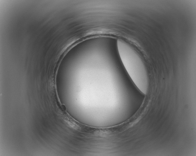 X0000062641073200512211001