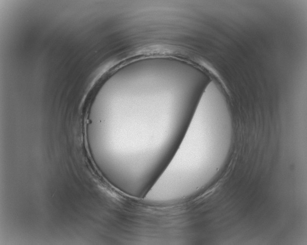 X0000062641075200512211001